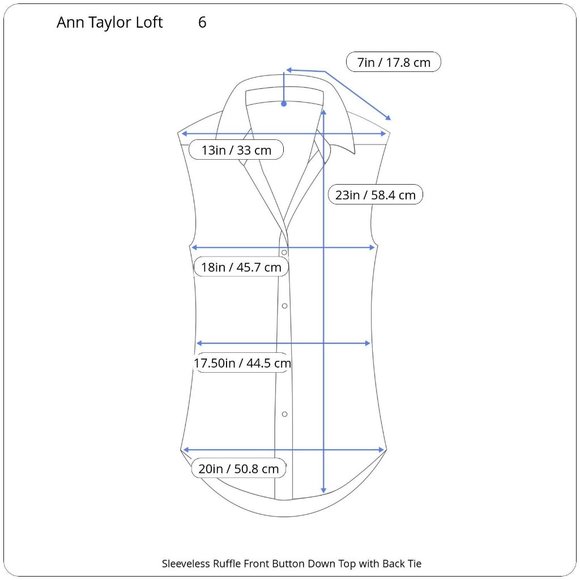 Ann Taylor Loft Brown Ruffle Front Sleeveless Top - Picture 4 of 4